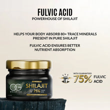 OG Wellness Immunity Boost Shilajit