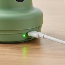 Wireless USB Rechargeable Mini Electric Garlic Machine / Chopper 3 Blades (300Ml)