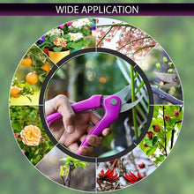 Stainless Steel Garden Scissors, flower cutter