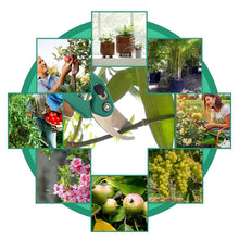 Garden Shears Pruners Scissor for Cutting Branches, Flowers, Leaves, Pruning Seeds